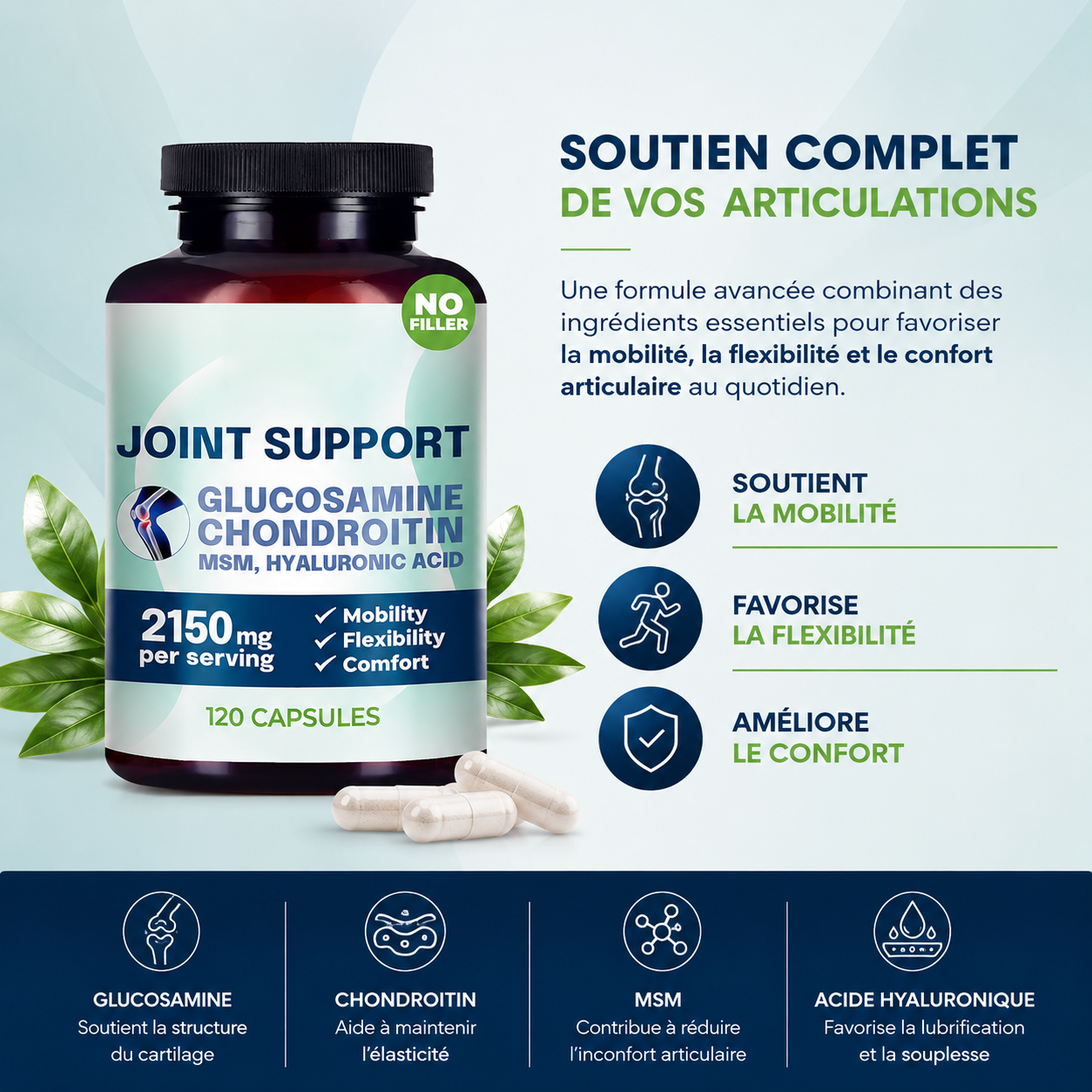 Joint Support _ Glucosamine • Chondroïtine • MSM • Acide Hyaluronique