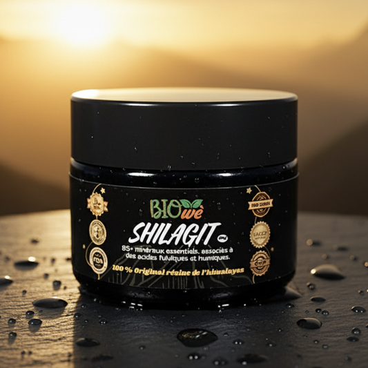 SHILAJIT BIO’WÈ – Résine pure de l’Himalaya | Vitalité, énergie et équilibre naturel