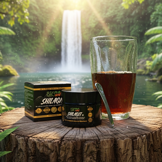 SHILAJIT BIO’WÈ – Résine pure de l’Himalaya | Vitalité, énergie et équilibre naturel