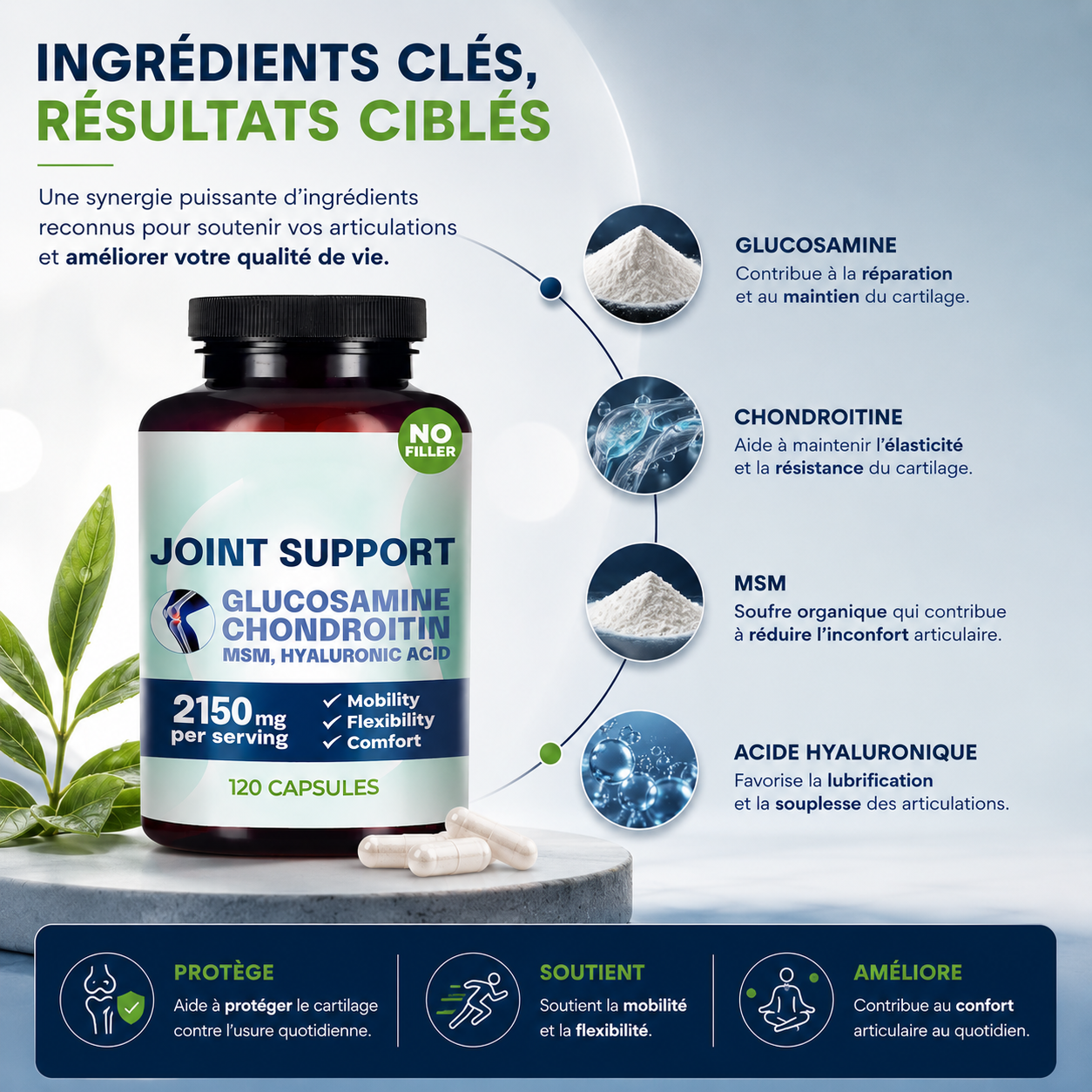 Joint Support _ Glucosamine • Chondroïtine • MSM • Acide Hyaluronique